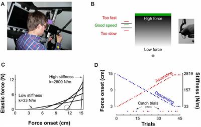 Switching in Feedforward Control of Grip Force During Tool-Mediated Interaction With Elastic Force Fields